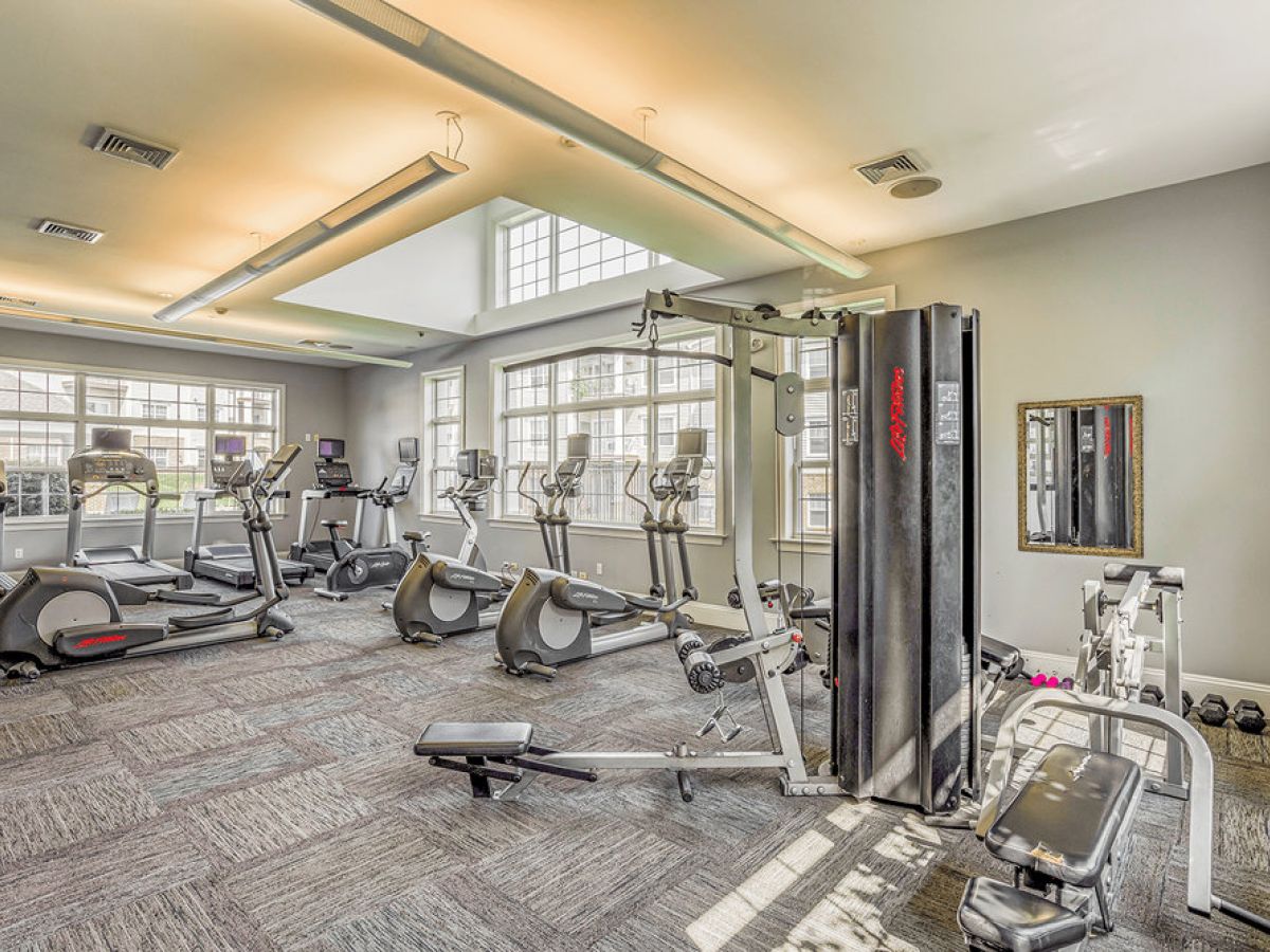 Bright gym with cardio machines, weight equipment, large windows, and light-colored walls.